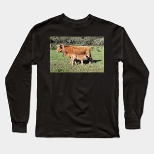 Horned cattle - A rare sight these days Long Sleeve T-Shirt